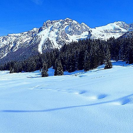 Ferienwohnung Campiglio Trilocale Monte Spinale Madonna Zimmer foto
